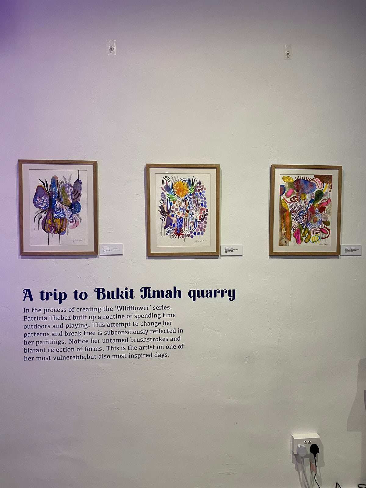 WILDFLOWER Solo Exhibition